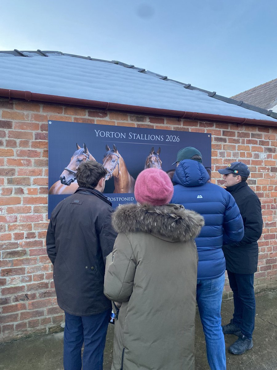 TheTBA_GB's tweet image. It’s been great fun on day 1 of the NH Stallion Open Weekend! 🎉 Thanks to all the studs for opening their doors. We can’t wait for tomorrow at @ChapelStud, @OverburySires and @batsfordstud…