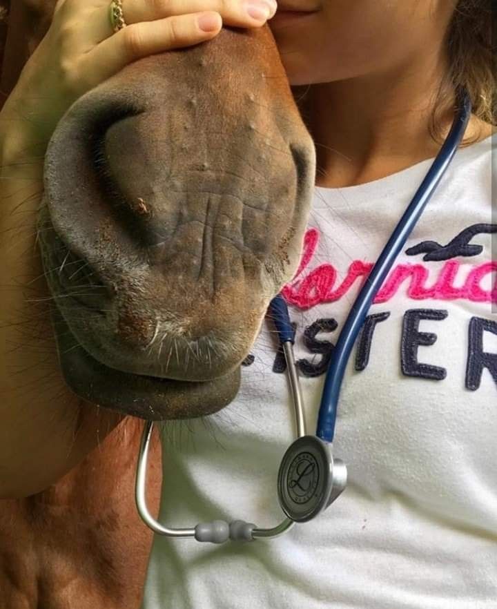 estudanicki's tweet image. ⌕ : #studytwtbr #studytwt 🦭🥥🫧

★ nini | 08' 
★ téc. agrícola 
★ medicina veterinária 1/10 🐾🩺
★ foco: notas boas e aprovação na uepg pra zootecnia

🎧 = música, animais, ginástica rítmica, newjeans, moda, neurociência, kyan, bp e três tambores.

↻/♡ = moots!