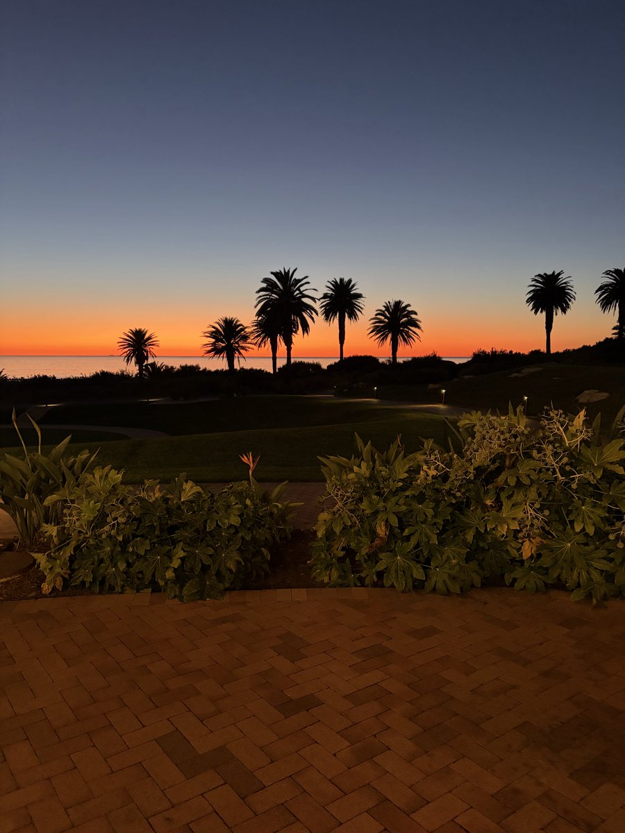 Margaret Lozovatsky, MD, FAMIA tweet media