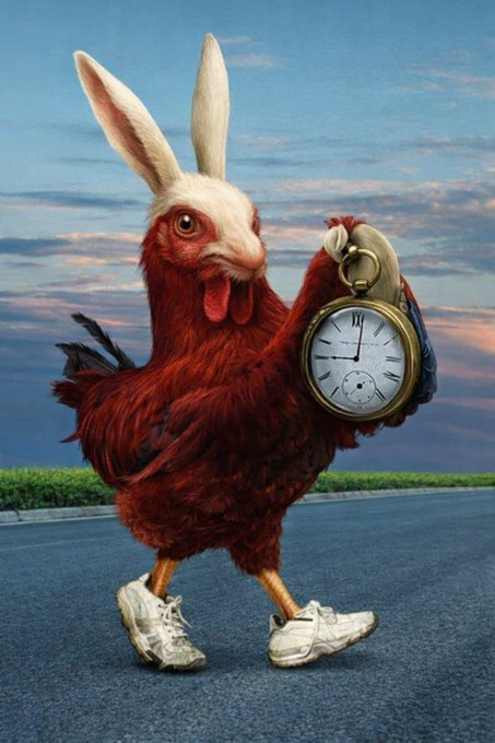 Rapid_16744's tweet photo. ALL ROADS LEAD TO THE $chicken https://t.co/rskJ58roQO