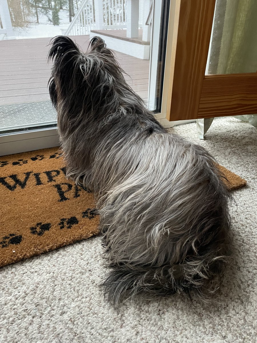 WellyUBM's tweet image. Keeping an eye on things 🧟‍♂️🧟‍♀️👀
#ZombieSquadHQ