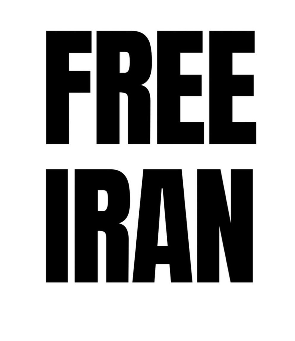 i am not pro regime but when 25+ mosques, 20+ banks and many national buildings are being burnt.

It’s kind of obvious why police officers and military personnel is using force.

If the protests happening right now in Iran would happen in the US you would see the same results.