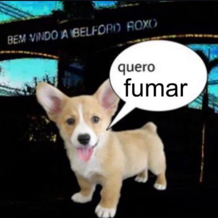 canabisbrasil's tweet image. 