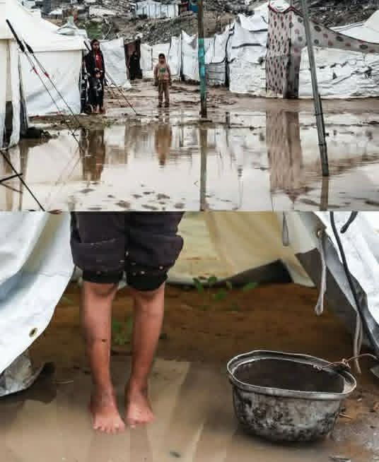 #ادخلوا_الكرافانات_إلى_غزة_فوراً