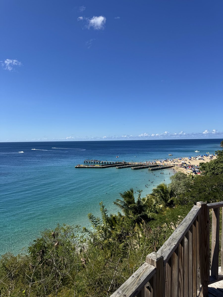 piteooo's tweet image. trankilo