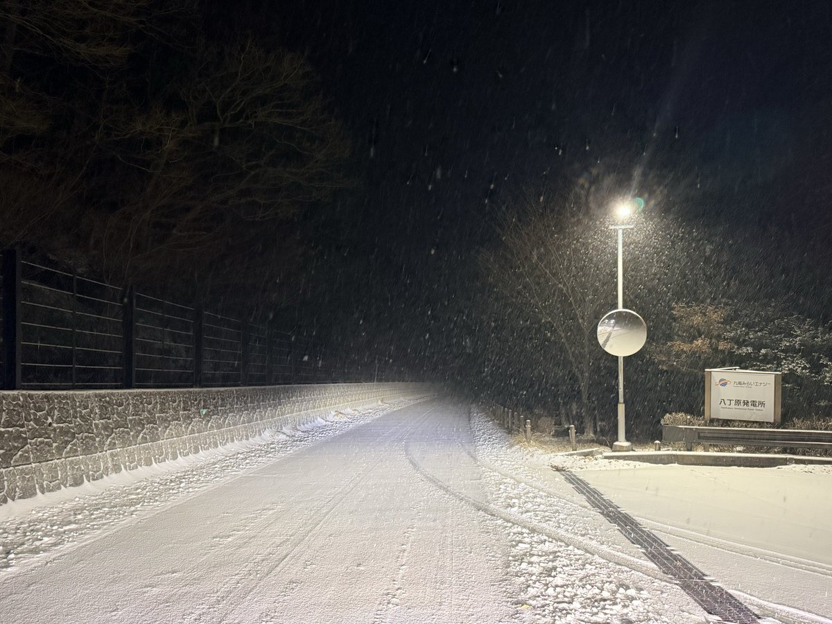 くじゅうスキー場【公式】 tweet media