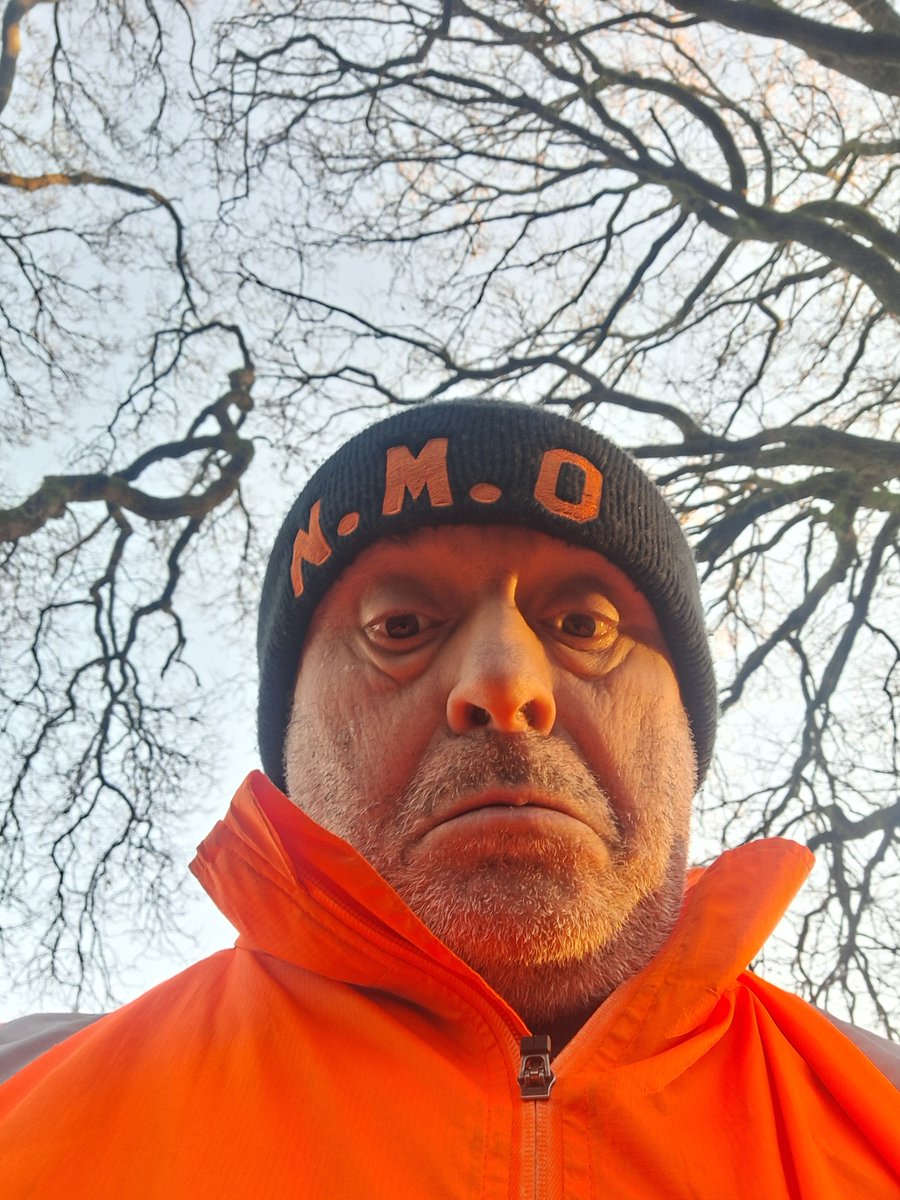 Das Stevens tweet media