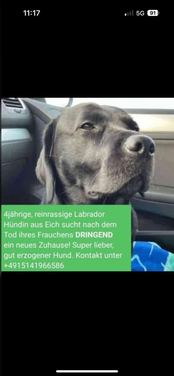 yolandaschultes's tweet image. Bitte teilen danke ❤️