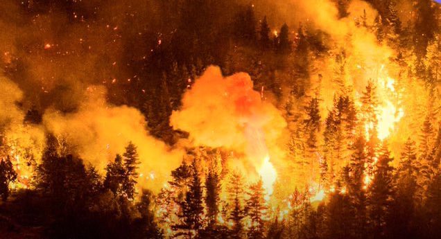Clarin afirma que el Gobierno giró solo la mitad de los fondos a los bomberos en 2025 y que el Presupuesto 2026 recorta a más del 50% al Sistema Nacional de Manejo del Fuego.