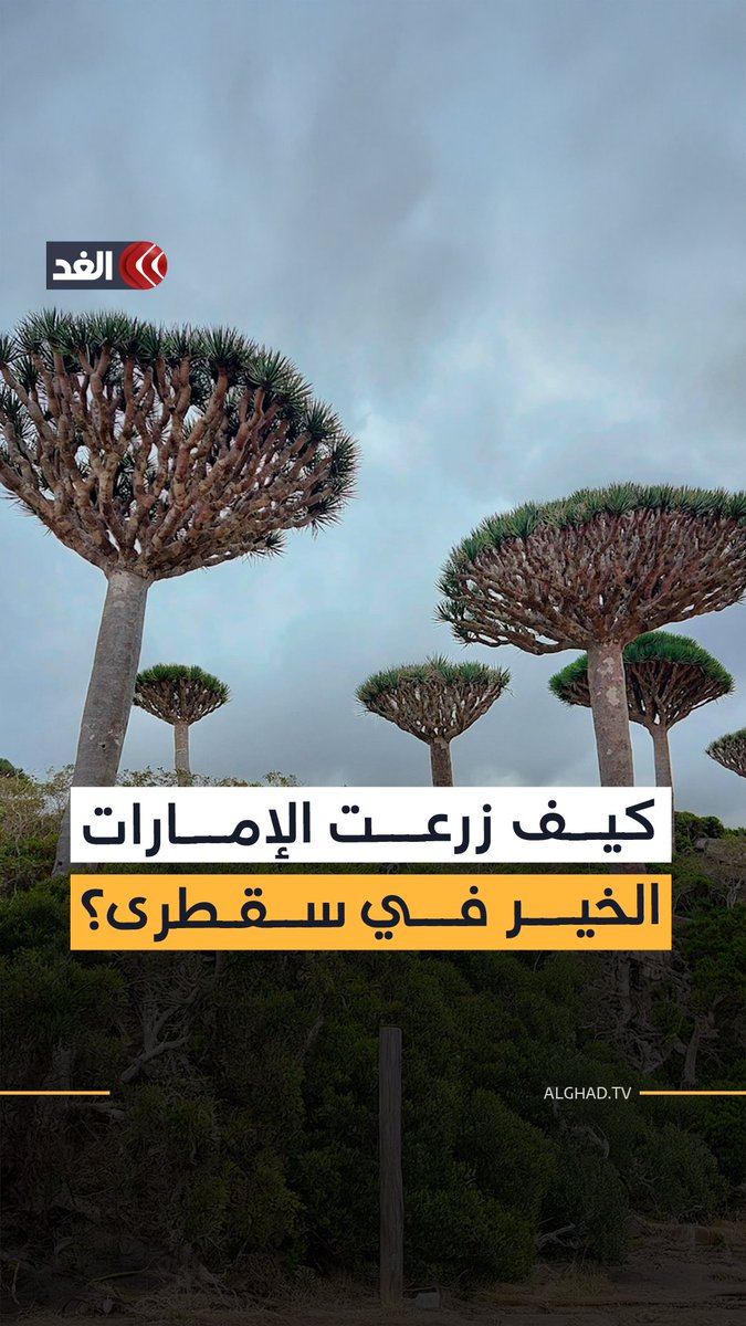 كيف أسهمت الإمارات في إعادة الحياة للقطاع الزراعي في سقطرى؟ 