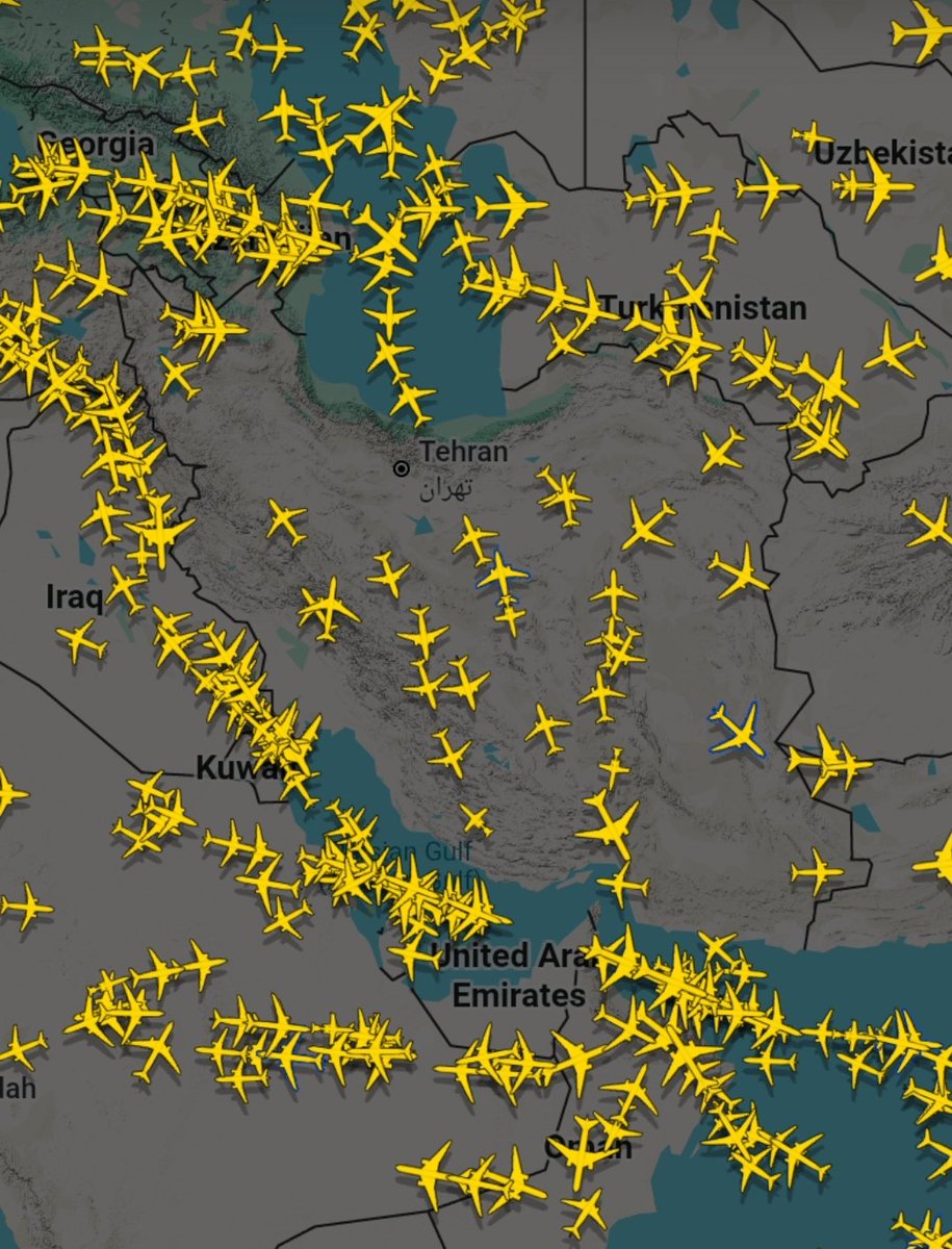 Lion&Sun tweet media