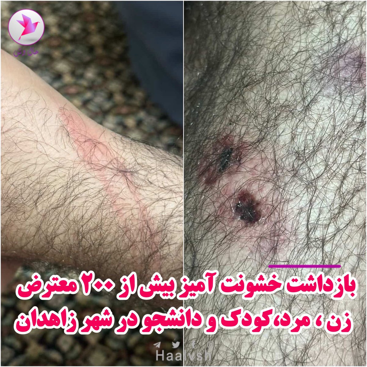 حال وش tweet media