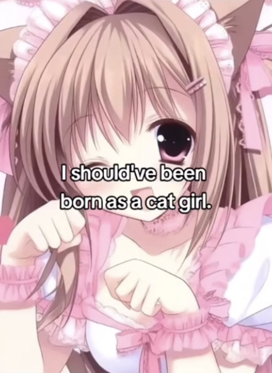 Guttergore1's tweet image. 