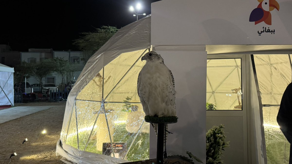 لطيفه tweet media