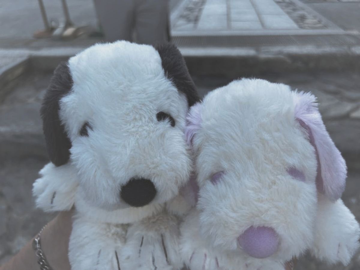 snoopyzito's tweet image. 