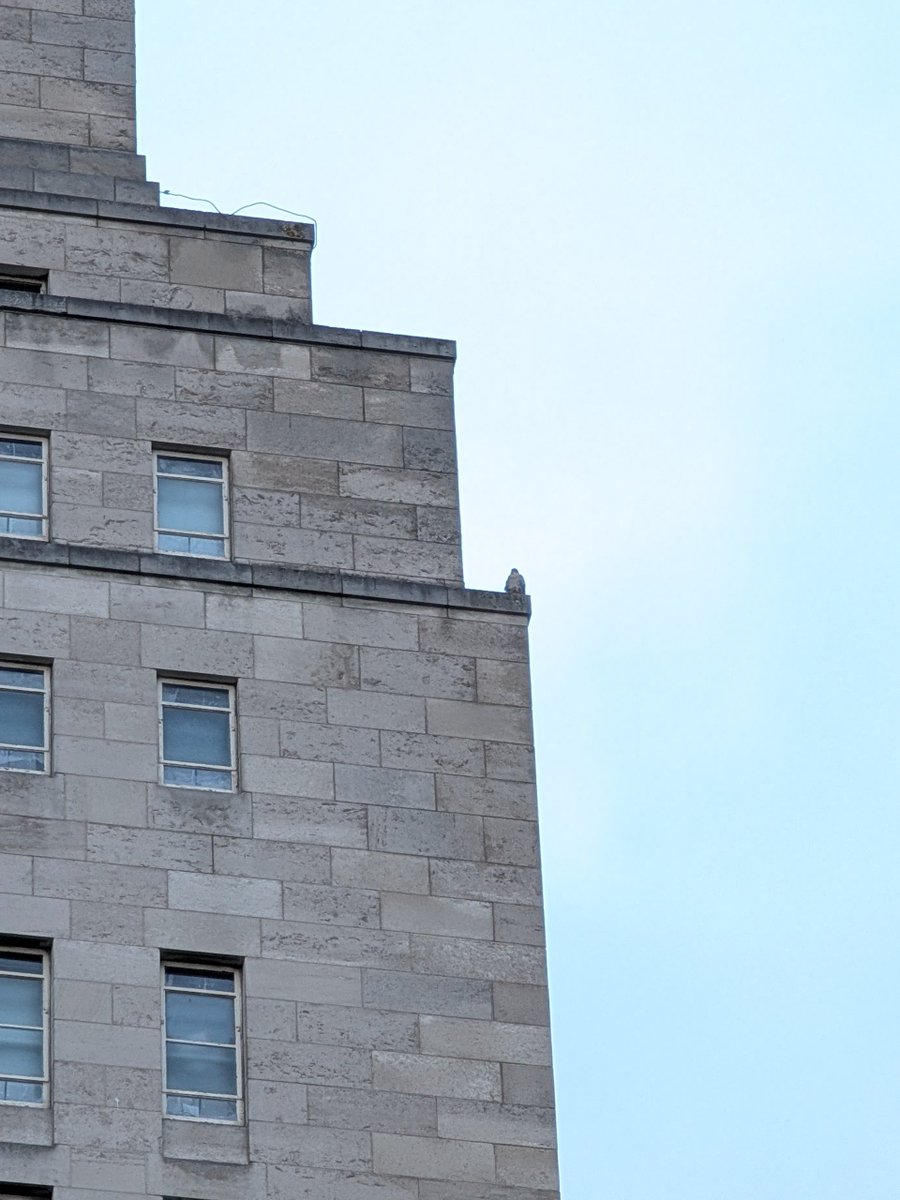 MTurnstall tweet media