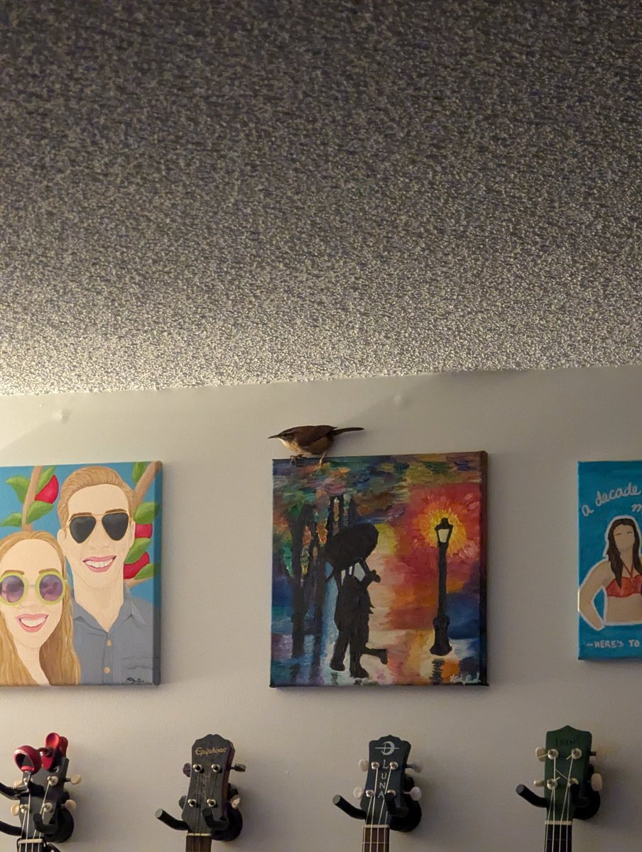 We received an unexpected visitor today