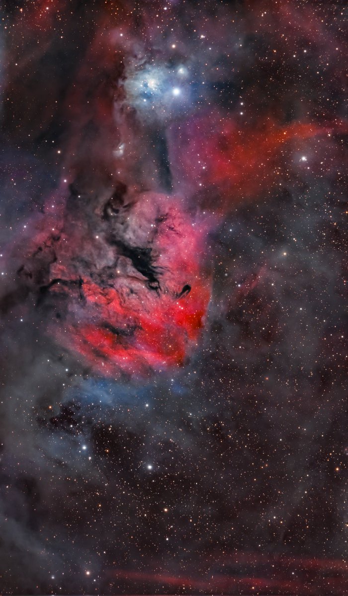 🇺🇸 Mazzif Astro 🇺🇸 tweet media