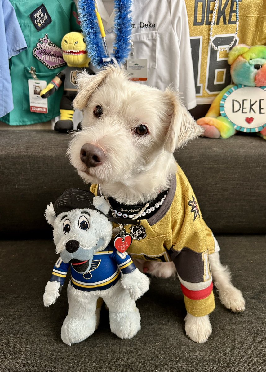 DekeHenriFurry's tweet photo. Iām ready for the hockey!
~ Dekeš¾
#GoKnightsGo
#VegasBornĀ Ā Ā Ā Ā Ā Ā Ā Ā Ā Ā Ā Ā Ā Ā Ā Ā
#STLvsVGK
#GameFace https://t.co/IzK4gV3QQn