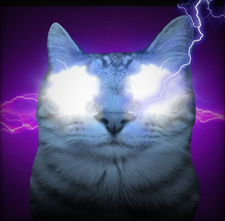 𝔼𝕝 𝔾𝕠𝕝𝕕𝔽𝕚𝕣𝕖 🔥 tweet media