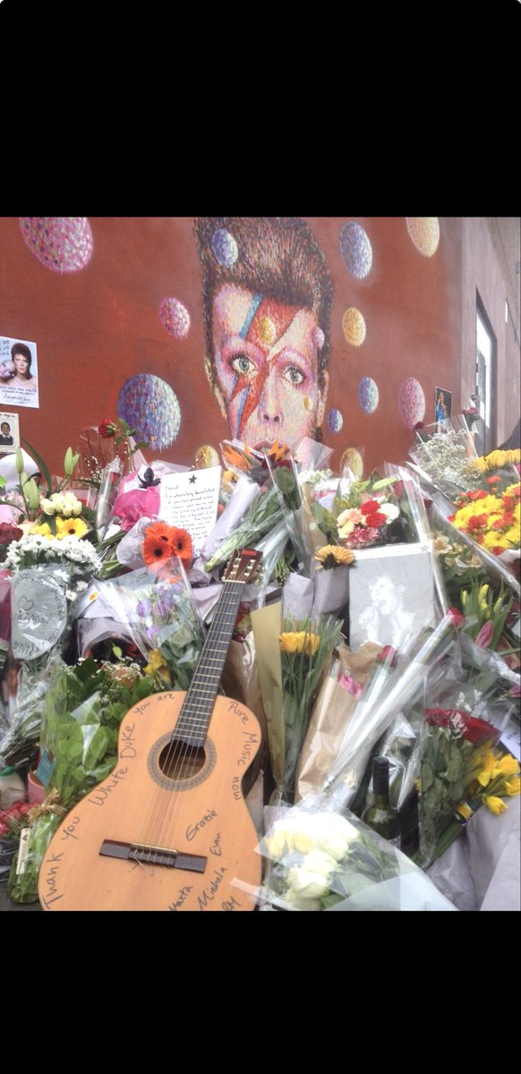 𝕧𝕚𝕠𝕝𝕖𝕥 𝕞𝕒𝕫𝕖｡˚☽˚｡⋆ 𓆉⋆｡˚⋆❀ 𓇼 tweet media