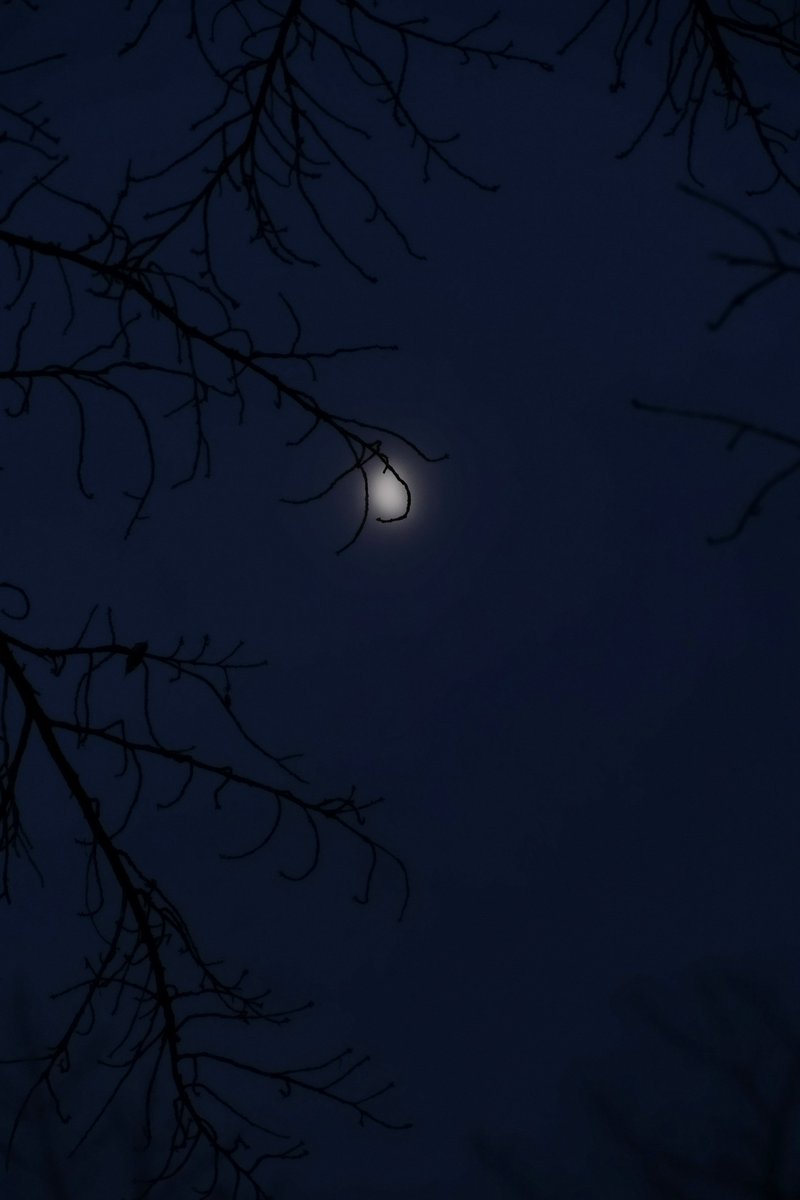 気温が高く風が強い
一部雷かな?⚡️相模原方面が光ってた変な夜でした🌙

深夜のドライブを終えてそろそろ明るくなるので帰りましょ🐾🌳