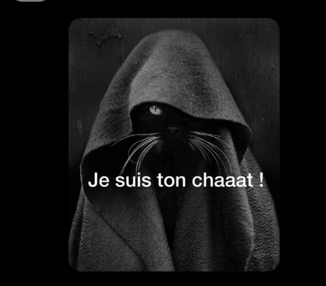 LOU_84🕊🔺️new cpte du 020625 tweet media