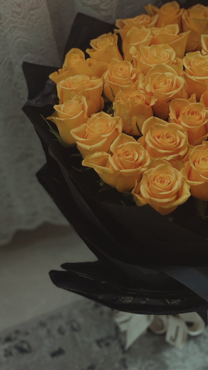 January 11

بداية عُمر جديد ..
اللهم إني استودعتُك عام مضى من عمري..
وبارك لي في عامي الجديد .. 💛