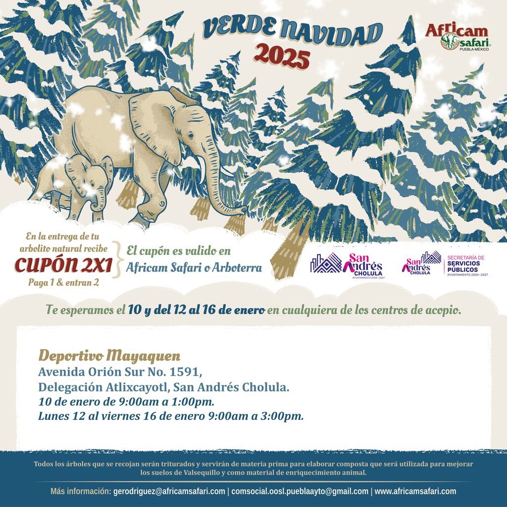 🌲♻️ Sé parte de “Verde Navidad” y contribuye al cuidado del medioambiente al entregar tu arbolito natural. ¡Recibirás un cupón 2x1 para <a href="/AfricamSafari/">Africam Safari</a> o <a href="/Arbo_Terra/">ArboTerra</a>! 

📍 Acude al Deportivo Mayaquen, en la Delegación Atlixcáyotl.
🗓️ Del 12 al 16 de enero.