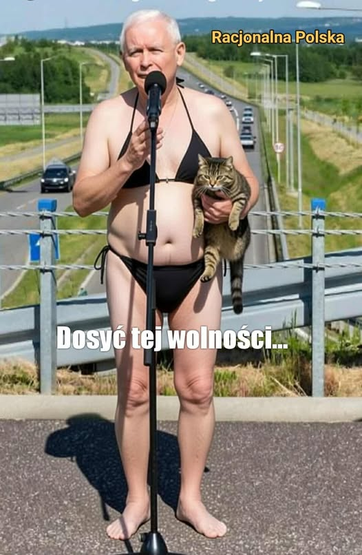 Romek Cz tweet media