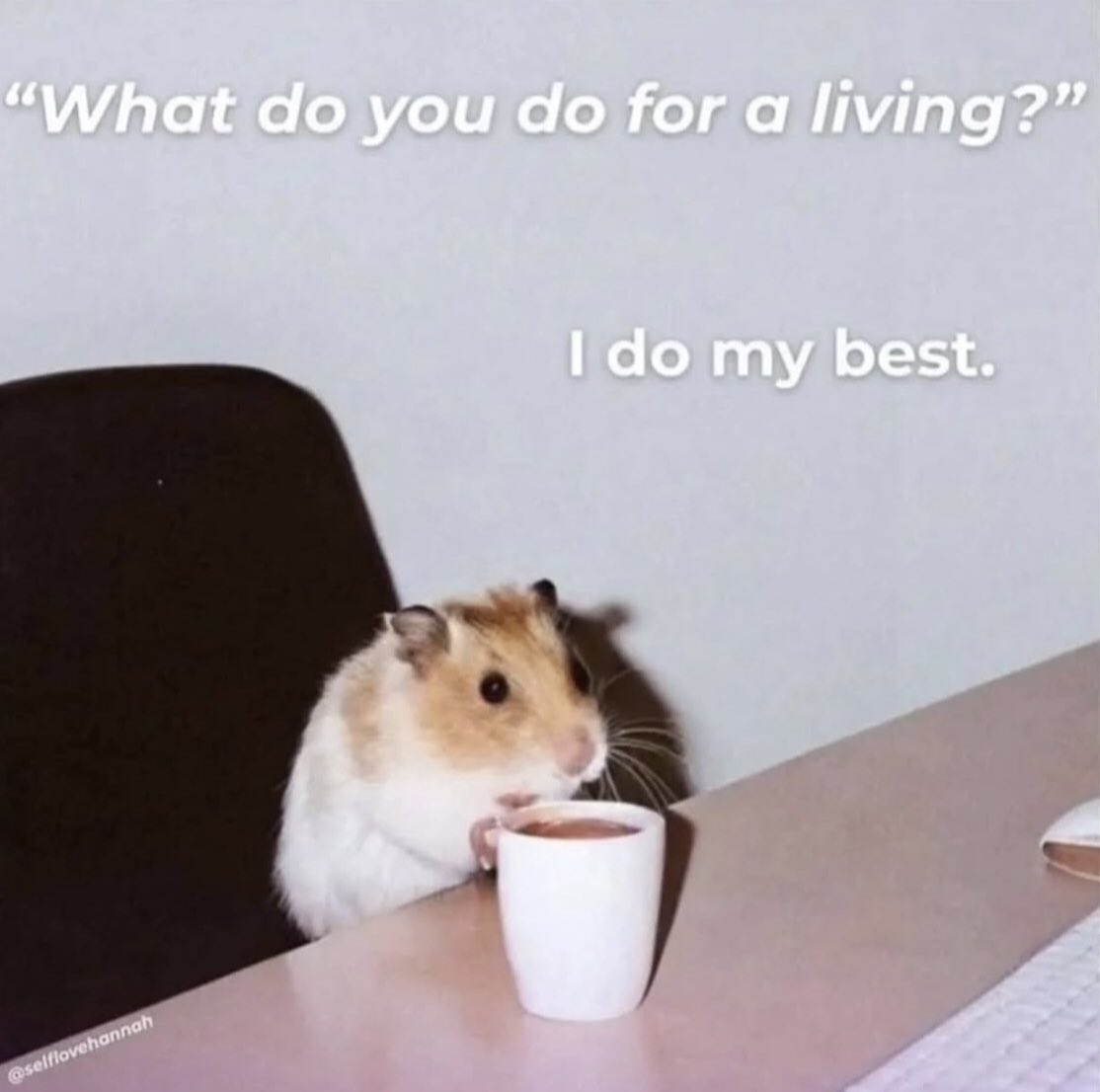 introvertsmemes's tweet image. 