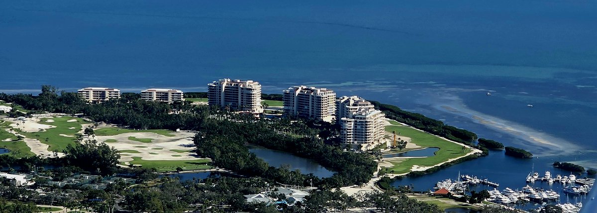 john reilly tweet media