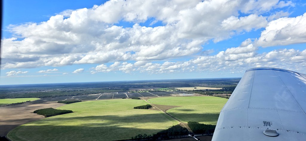 john reilly tweet media