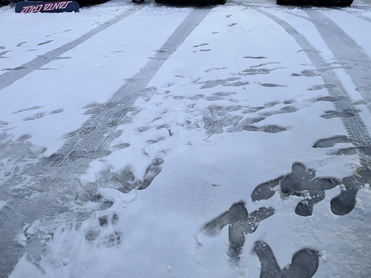 ramelew's tweet image. 雪です！！