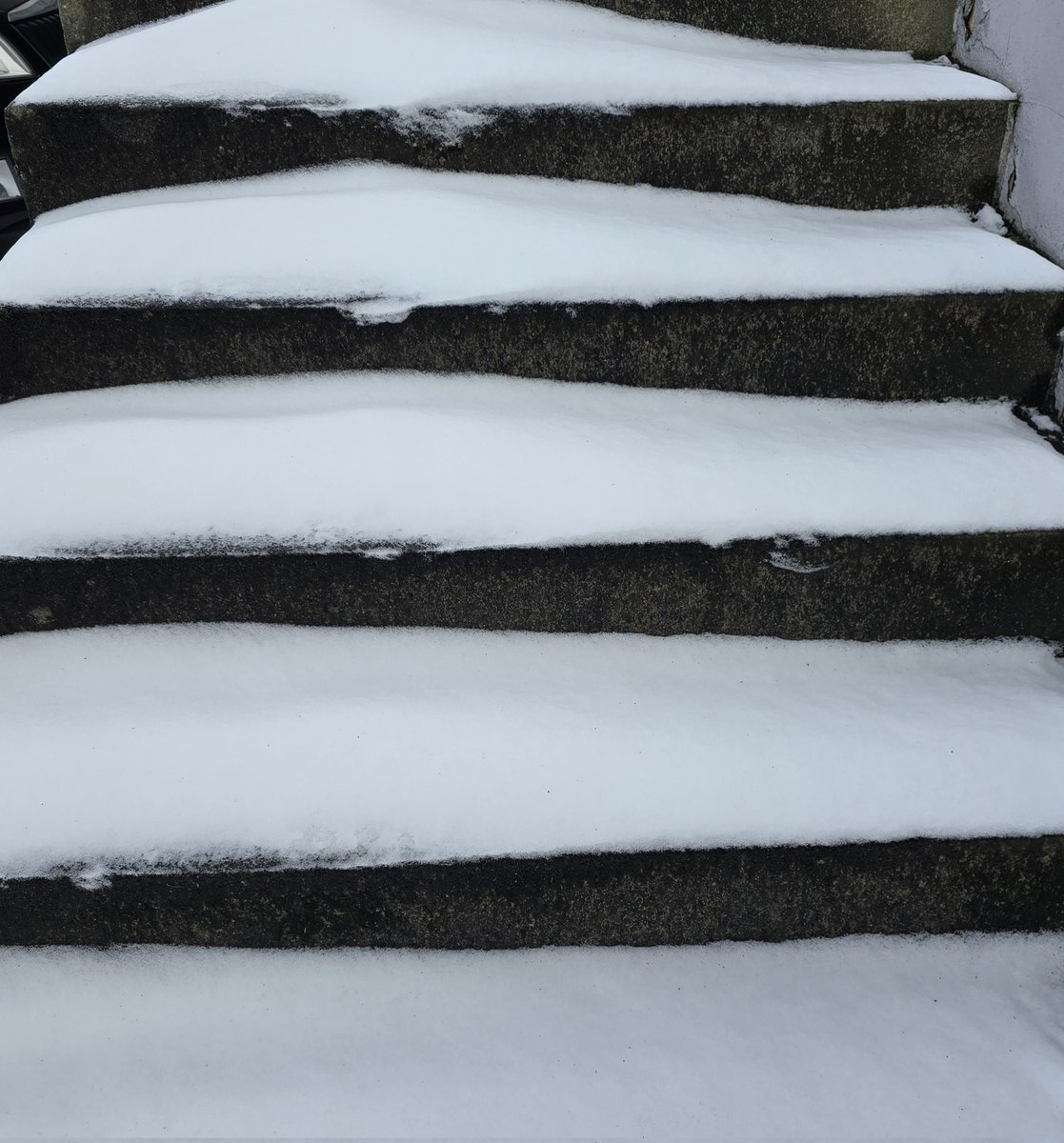 peter_murmann's tweet image. Steps...