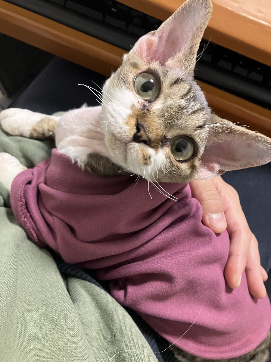 ◆みかりん♡1日2日割引セール実施中！♡◆ ✨kirarin✨ (@kirarin0724) / Posts / X