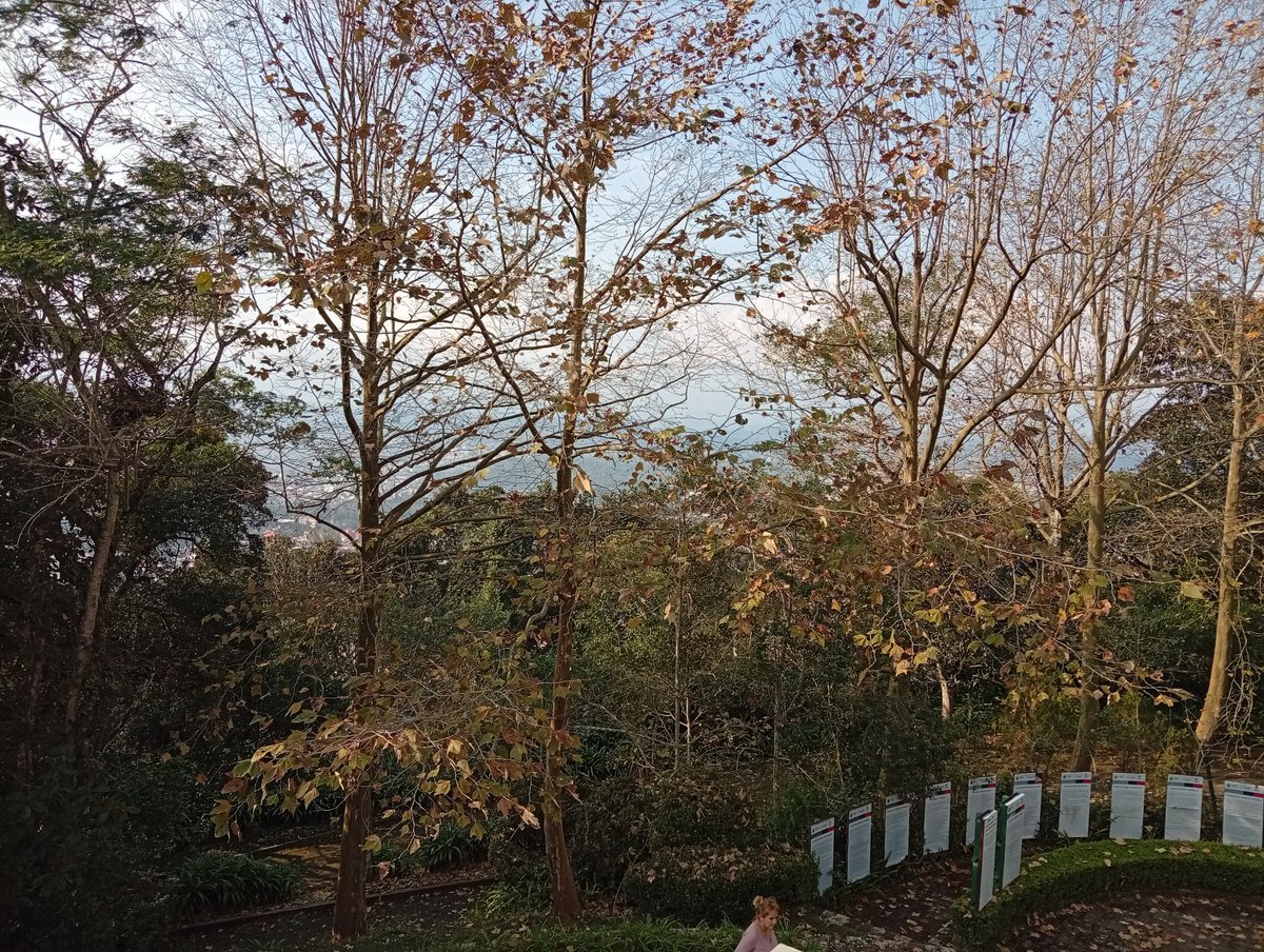 Haciendo un poco de caminata en el Macuilteptl.