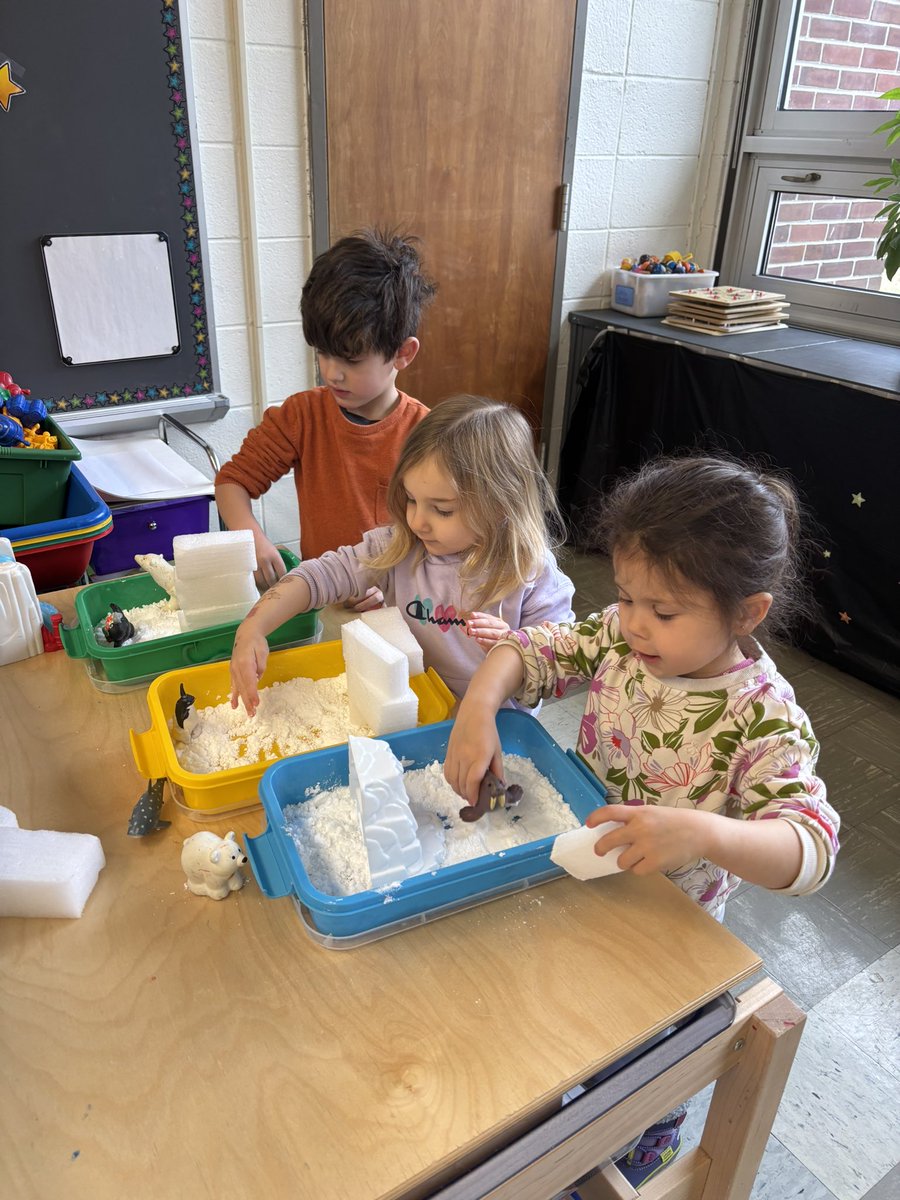 Brenda Pfau tweet media