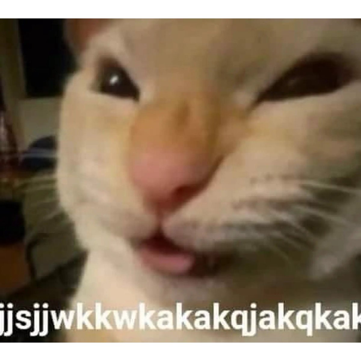 nuevo año, nuevo proyecto de fl studio con 242 guias para enviar
me animaria a decir que efectivamente se vienen cositas...