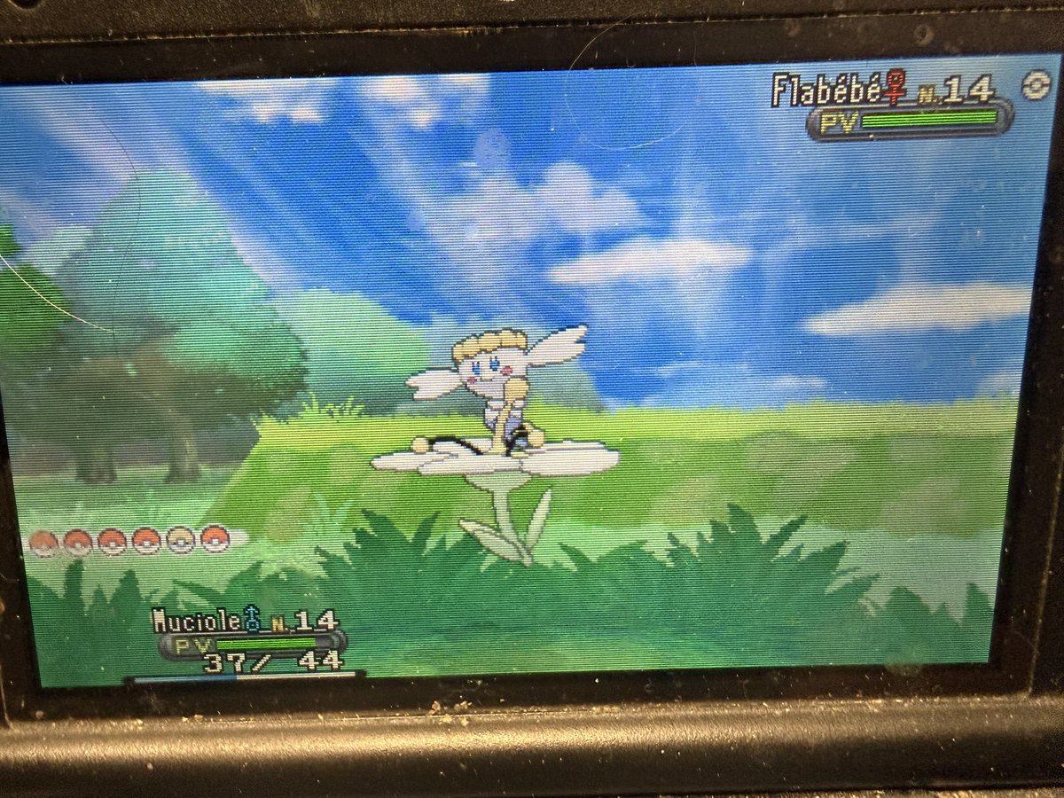 EffysAegis tweet media