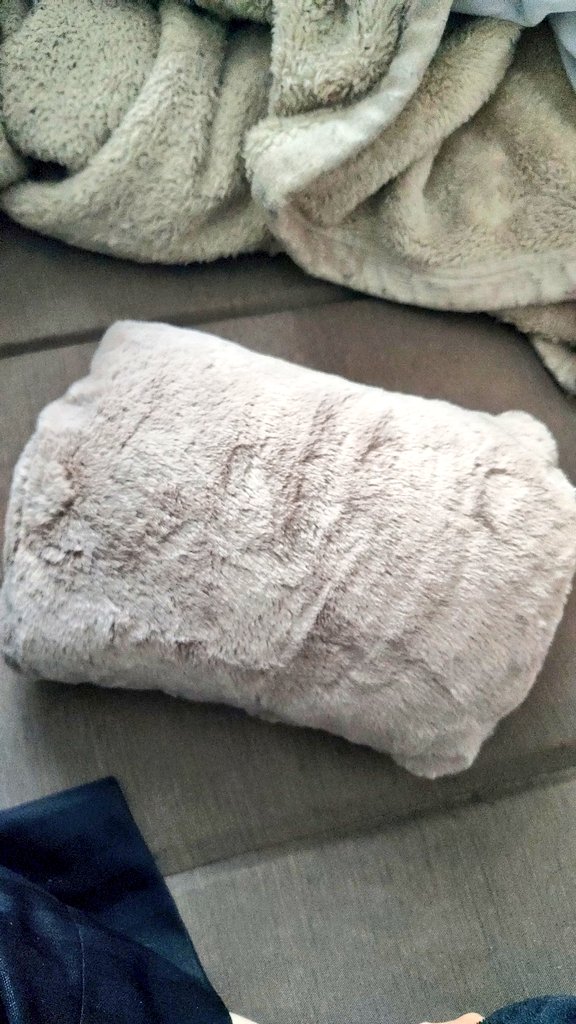 新しい充電式ゆたんぽ買ったらカバーが綿の入った厚みあるモコモコ仕様でおおよそ猫の背中だと思って撫でている