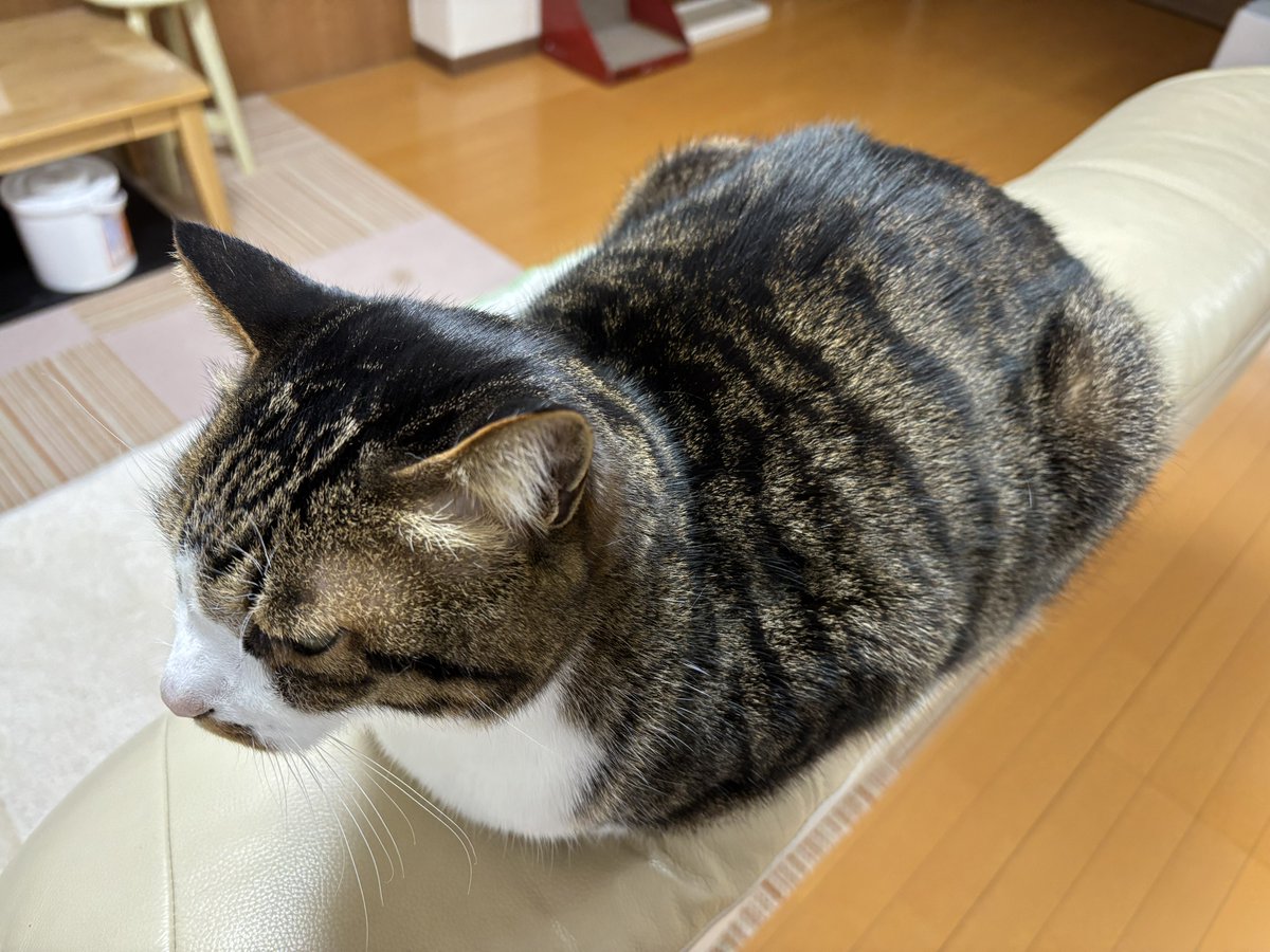 みふゆ(三冬) (@mifuyu_916) / Posts / X