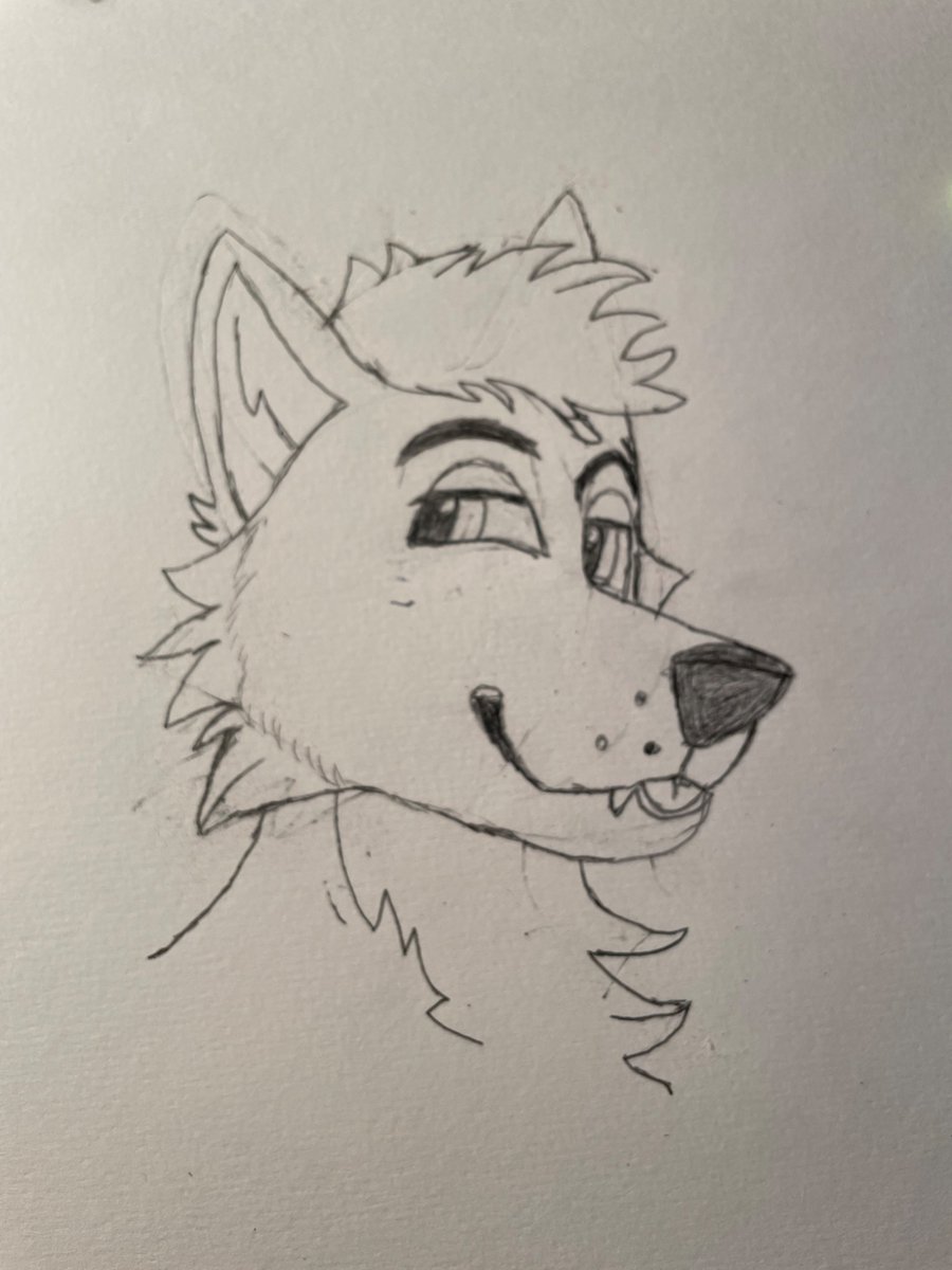 Tekula wolf 🔜 NFC tweet media