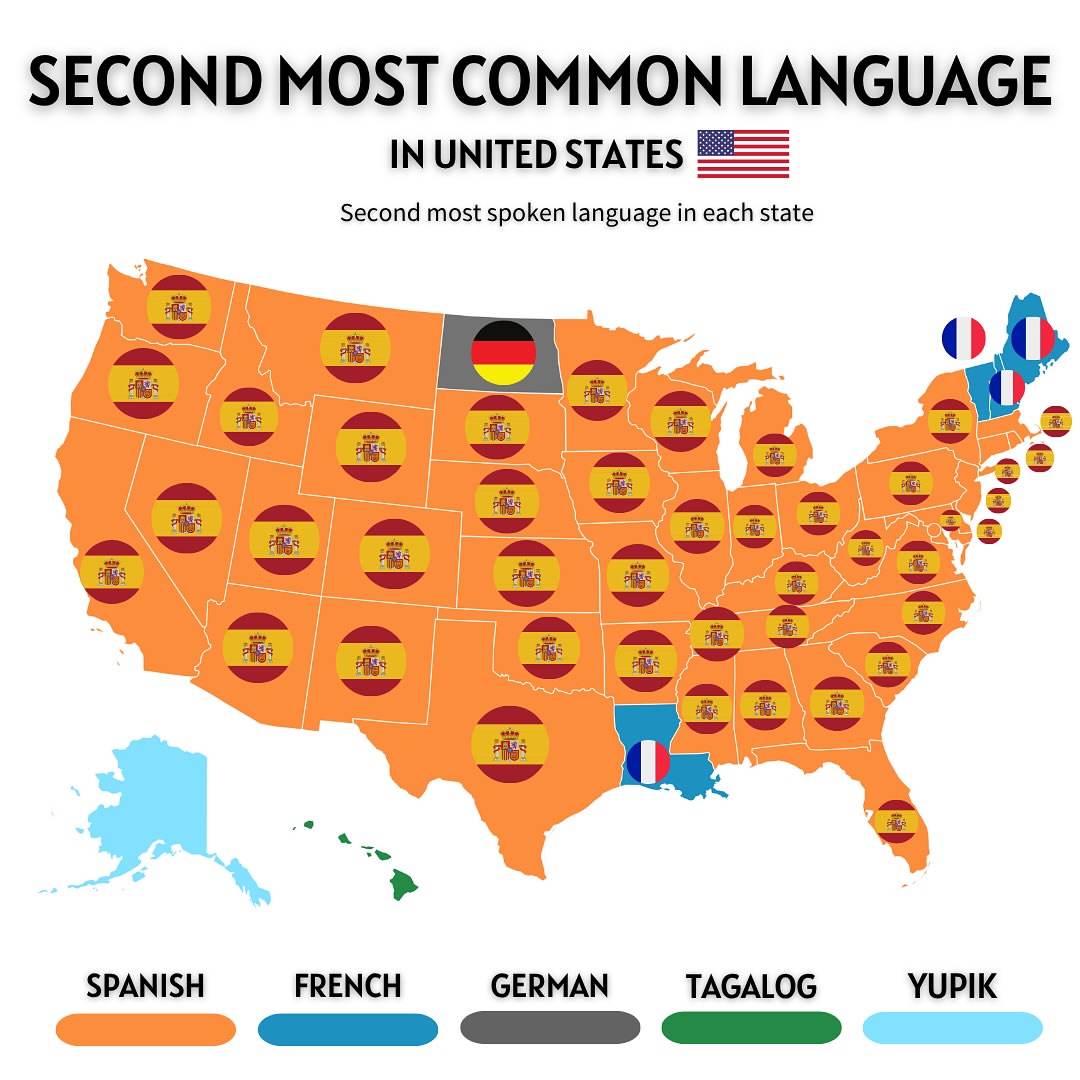 Civixplorer's tweet image. 🗣️ The second most spoken language in each U.S. state.