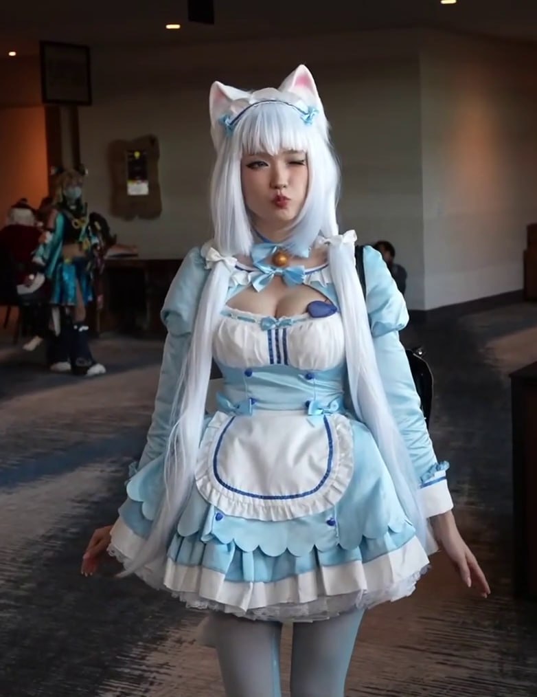 Soft_Frame's tweet image. cat gorl emi