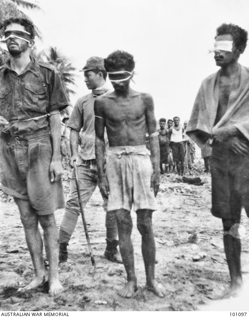 ぬまぼうず🐜 tweet media