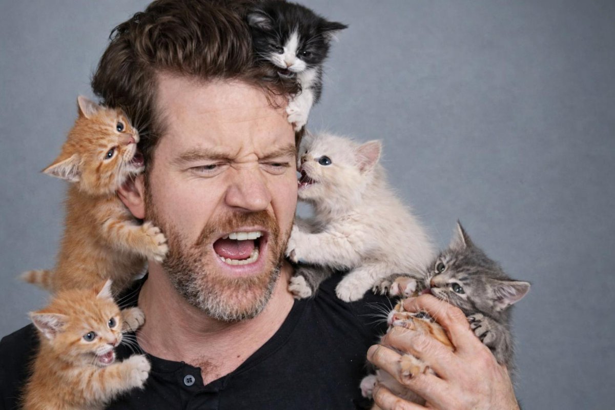 Joe Cummings tweet media