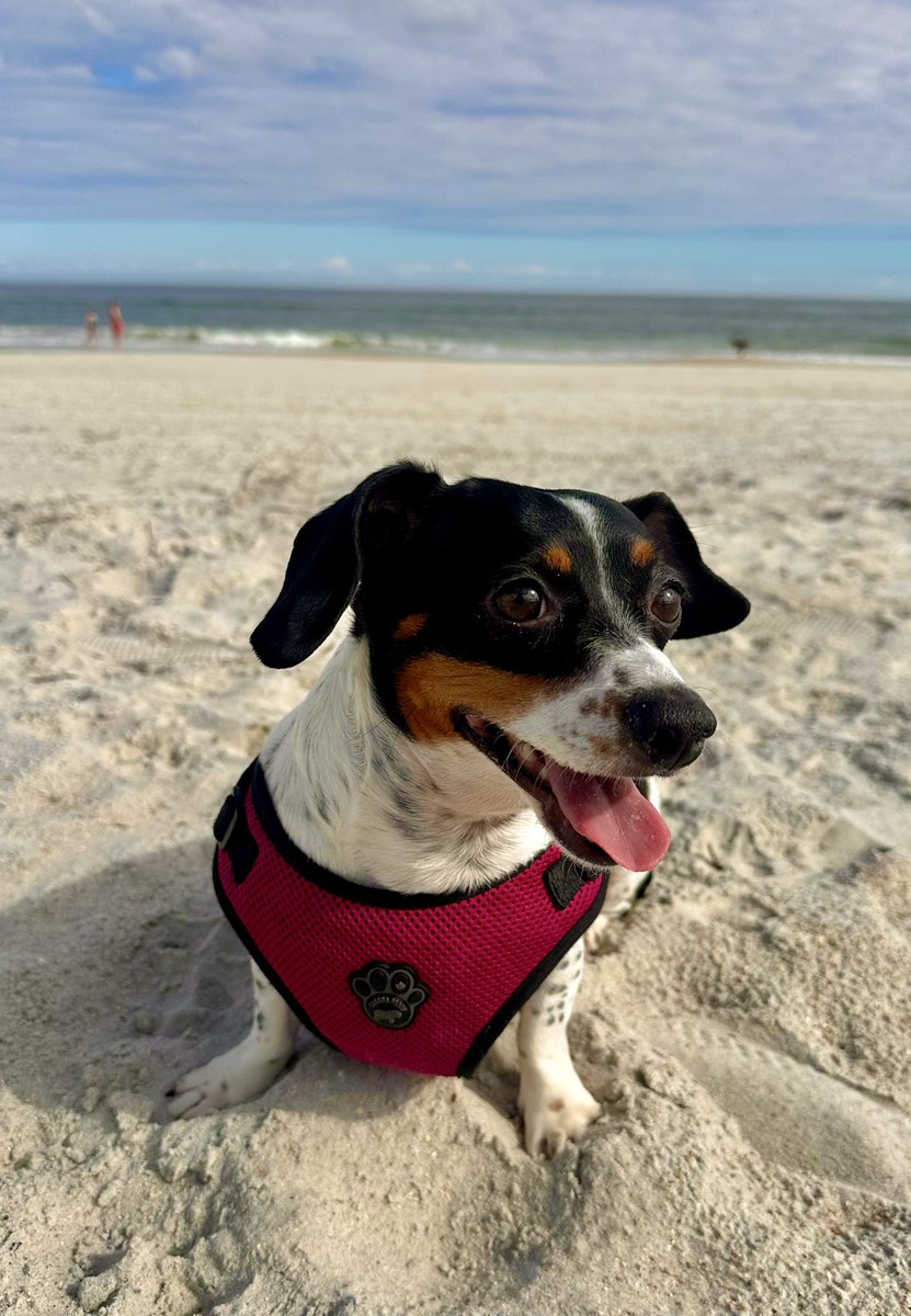 Carlos Olivera tweet media