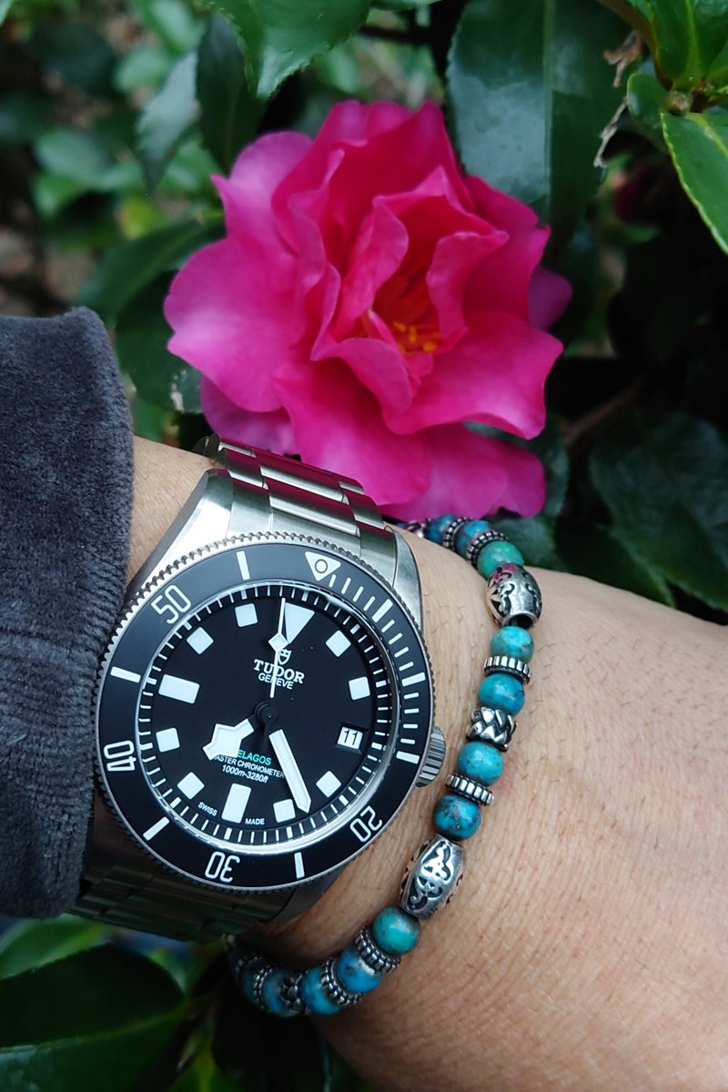 しんころ (@shinkoro1000rr) / Posts / X