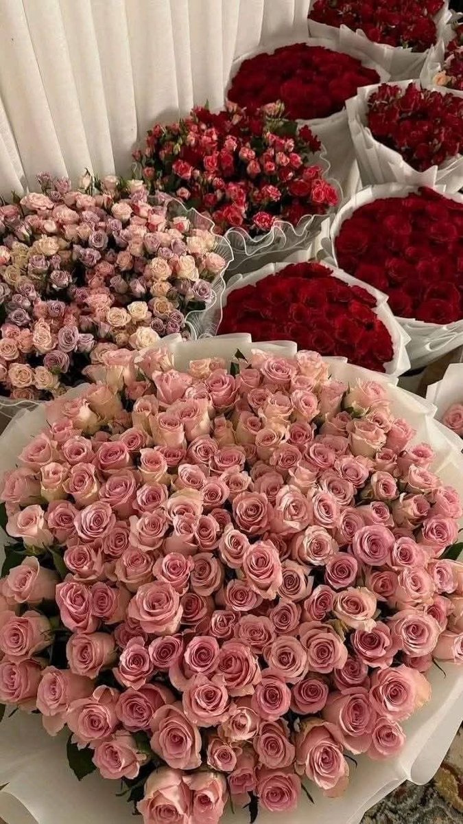 IQUEEEN__'s tweet photo. https://t.co/f2059XRzHr